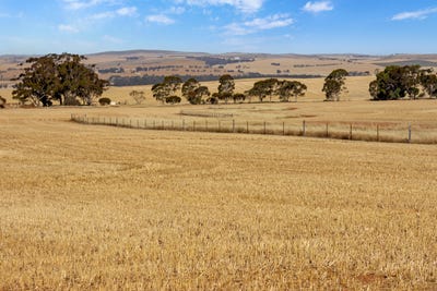 /international/au/-white-springs-the-camels-hump-road-leighton-sa-700428748/