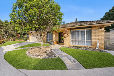 /international/au/18-southeden-court-cooroy-qld-151076996/