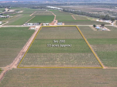 /international/au/sec-184-200-271-weaver-road-lyrup-sa-204664496/