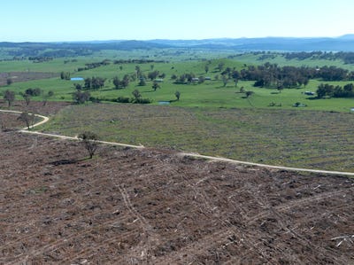 /international/au/34-ikes-mountain-road-mannus-nsw-700427908/