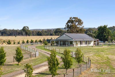 /international/au/297-potts-road-elphinstone-vic-150852308/