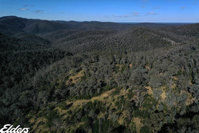 /international/au/duffy-road-briagolong-vic-700428092/