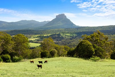 /international/au/96-coxs-road-sherwood-nsw-700407708/