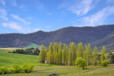 /international/au/751-sodwalls-road-sodwalls-nsw-700427016/