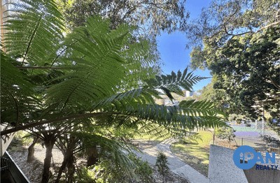 /international/au/116-3-ascot-street-kensington-nsw-148476576/