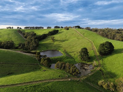 /international/au/255-buffalo-north-road-buffalo-vic-700412860/