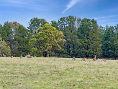 /international/au/85-wyoming-rd-bywong-nsw-700405836/