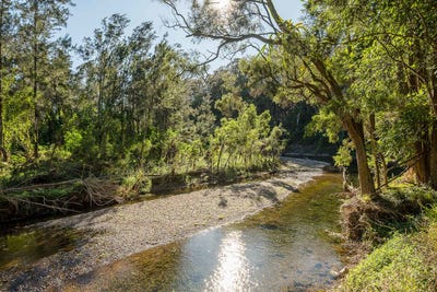 /international/au/646-laceys-creek-road-laceys-creek-qld-204248084/