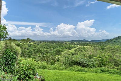 /international/au/39-thistle-road-maadi-qld-151173348/