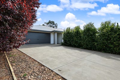 /international/au/55-flinders-street-renmark-sa-152720944/