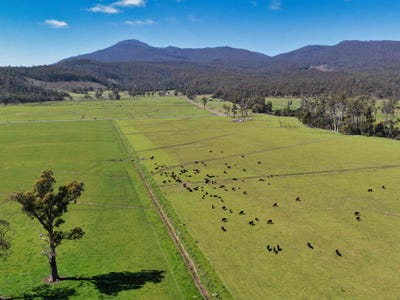 /international/au/38791-tasman-highway-nunamara-tas-700427552/