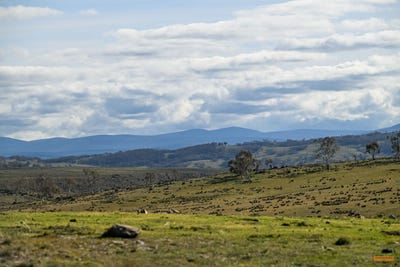 /international/au/-part-braeside-caddigat-road-dry-plain-nsw-700411848/