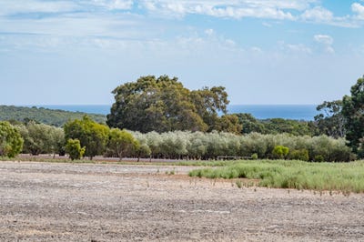 /international/au/114-sonning-loop-yallingup-wa-204474940/