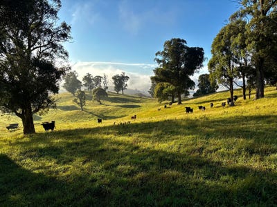 /international/au/511-nunans-hill-road-hazelgrove-nsw-700428404/