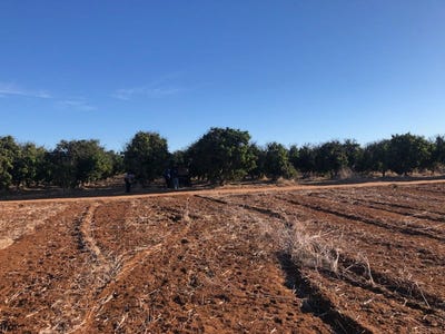 /international/au/midlands-road-dongara-wa-700400208/