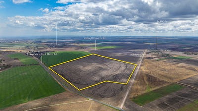 /international/au/-dooley-s-plain-toowoomba-cecil-plains-road-aubigny-qld-700424952/