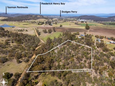 /international/au/607-delmore-road-wattle-hill-tas-204675824/