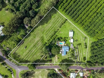 /international/au/130-cowlong-road-mcleans-ridges-nsw-151991268/