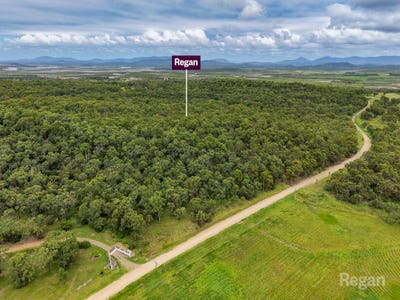 /international/au/98-delandelles-road-tanby-qld-700401548/