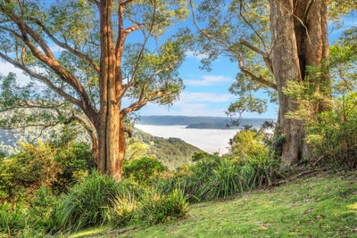 /international/au/9-cambewarra-lookout-road-beaumont-nsw-150936816/