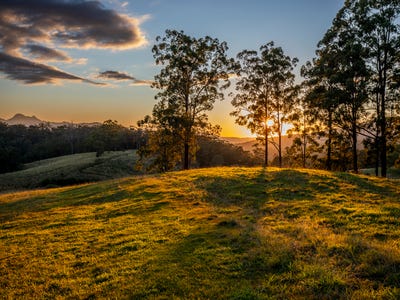 /international/au/113-124-boormans-rd-tyalgum-nsw-700417924/