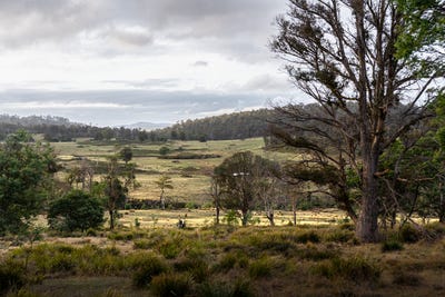 /international/au/-goat-gully-old-hut-hill-lemont-road-lemont-tas-700412676/