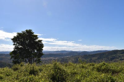 /international/au/102-gregors-creek-road-gregors-creek-qld-700366088/?lang=zh-tw