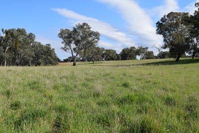 /international/au/lot-5-3905-riverina-highway-bungowannah-nsw-204488612/