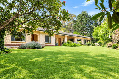 /international/au/217-harris-road-lenswood-sa-152698616/