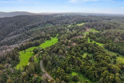 /international/au/4502-mount-darragh-road-mount-darragh-nsw-204486484/