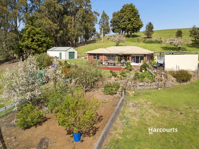 /international/au/212-ellis-road-abbotsham-tas-152635932/