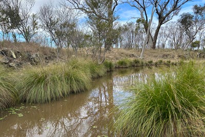 /international/au/2939-mosquito-creek-road-mosquito-creek-qld-700367968/?lang=pt