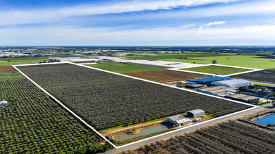 /international/au/306-taylors-road-virginia-sa-700413648/