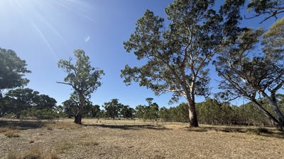 /international/au/2-v-a-lane-penola-sa-700399540/