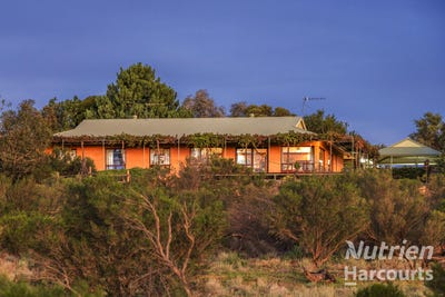 /international/au/1475-murtho-road-paringa-sa-151285388/