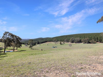 /international/au/lot-29-mount-homer-road-yetholme-nsw-700429236/
