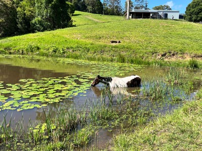 /international/au/lot-12-cookes-road-conondale-qld-700364352/?lang=zh-cn