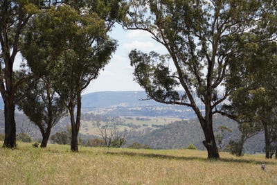 /international/au/lot-2-410-honeysuckle-falls-road-tarana-nsw-700400740/