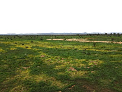 /international/au/lot-118c-johnburgh-road-orroroo-sa-700406016/