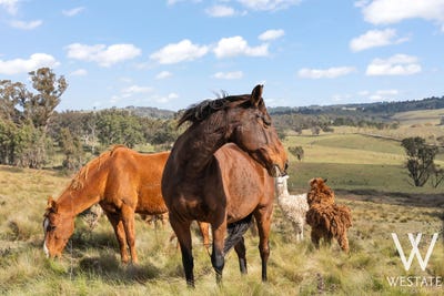 /international/au/88-jones-lane-newbridge-nsw-700407908/