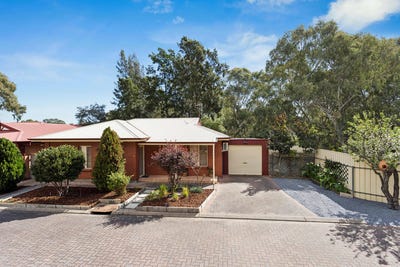 /international/au/6-508-wright-road-modbury-sa-152557440/