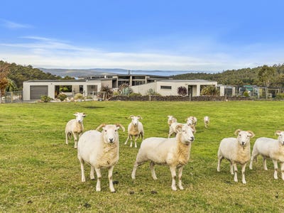 /international/au/384-saddle-road-kettering-tas-151395760/