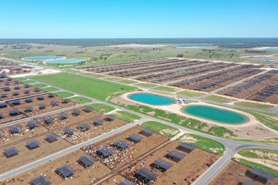 /international/au/556-grassdale-road-grassdale-qld-700404436/