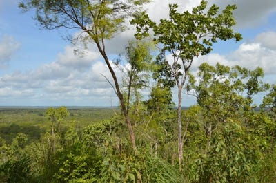 /international/au/660-miles-road-eva-valley-nt-204518228/