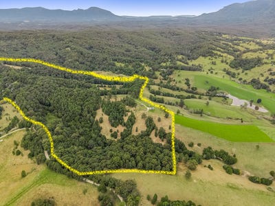 /international/au/1475-byrrill-creek-road-brays-creek-nsw-700418292/