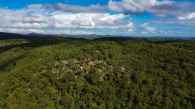 /international/au/2965-orara-way-kremnos-nsw-700411500/