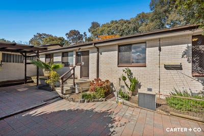 /international/au/8-53-fullagar-crescent-higgins-act-151251084/