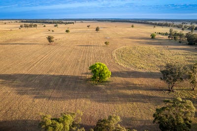 /international/au/mentone-1521-bruie-plains-road-trundle-nsw-700349980/