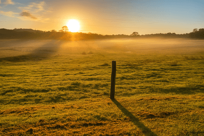 /international/au/1609-peachester-road-peachester-qld-700367040/?lang=fr