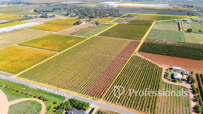 /international/au/part-58-cowanna-avenue-south-merbein-south-vic-700406548/